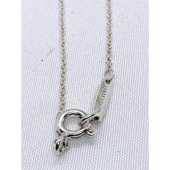 Tiffany & Co Sterling Silver 925 Interlocking Circles 1837